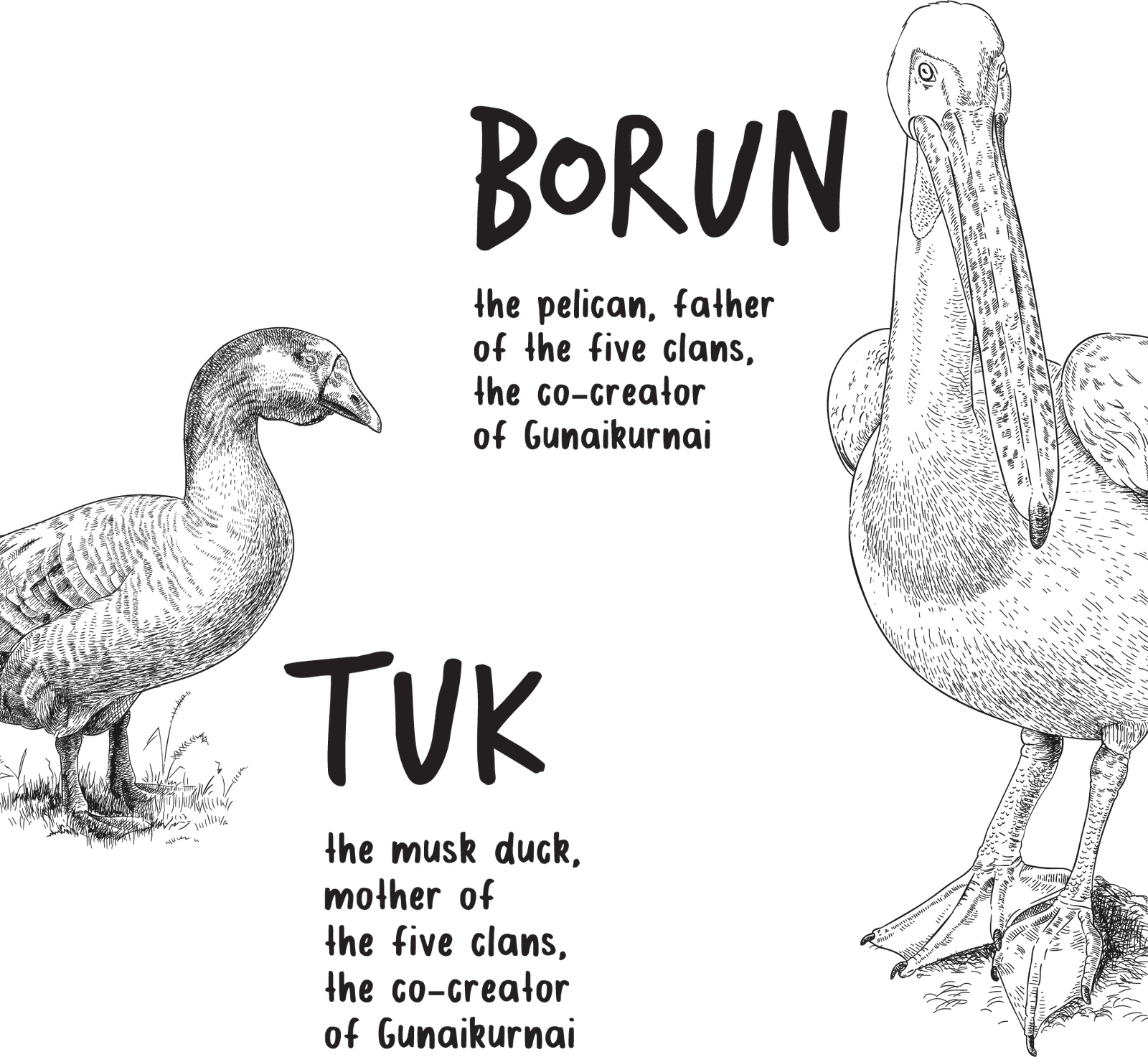 Borun & Tuk Gunaikurnai creation story