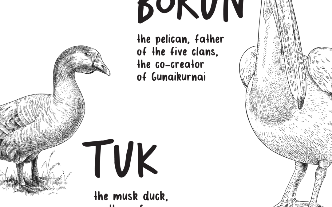 Borun & Tuk – the creation story of the Gunaikurnai